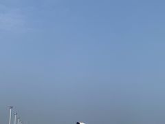 -碧海金沙