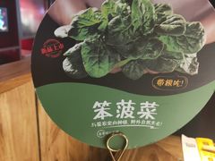 -巴奴毛肚火锅(六天地店)