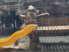 -石家庄市动物园