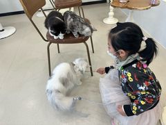 -共舞时光猫咖·狗咖(新街口店)