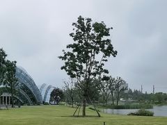 -上海植物园-4号门售票处