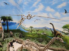 -辽宁古生物博物馆