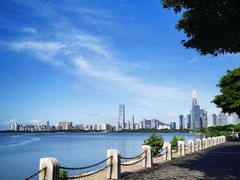 -福田红树林生态公园