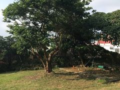 -鹅銮鼻公园