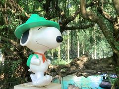 -史努比缤纷世界