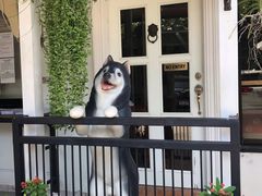 -TrueLove @ Neverland (Husky Cafe)