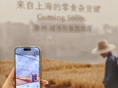 -万达广场(惠州大亚湾店)