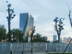 -桂溪生态公园