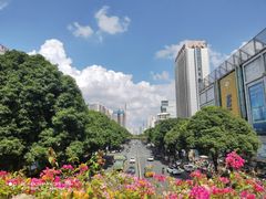 -南宁南湖公园