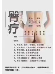 点击看大图 -玛莲朵·海菲秀冰珀科