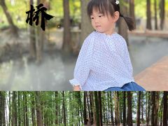 -东湖落雁景区