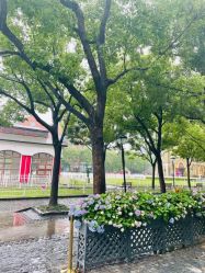 -新蝶变皮肤管理中心