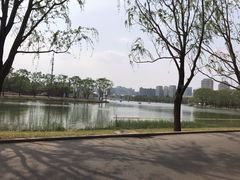 -朝阳公园游乐园