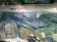 -泉城欧乐堡海洋极地世界