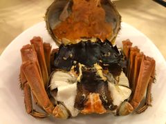 清蒸大闸蟹-王宝和酒家(黄浦店)
