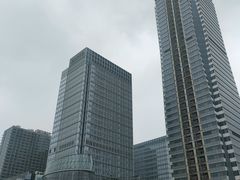 -高·尚领域