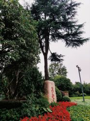 -华东饭店·园林式婚礼宴会厅酒店