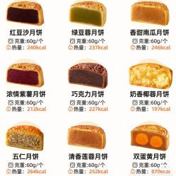 -Fundi张玉珊修身堂·indiba·BTL科技瘦身