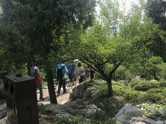 风景-林屋洞景区
