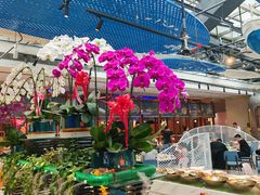 -半岛听涛蒸汽海鲜自助(K11店)