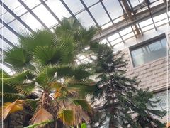 -龙达温泉生态城