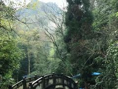 -青城山