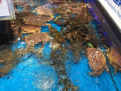 -盒马鲜生(联投广场店)