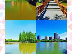 -黄兴公园