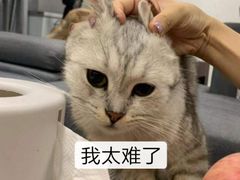 -雾都渣渣火锅(南城智汇城店)