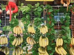 -鲜力达果品批发直销(无锡保利香槟店)