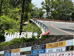 -洛阳白云山景区