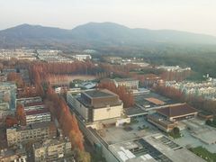 -南京维景国际大酒店(南京博物院店)