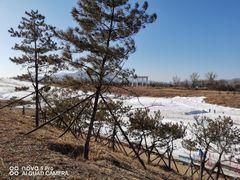 -华彬猛犸滑雪场