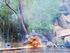 -徂徕山森林康养度假谷温泉