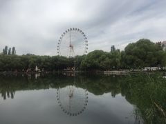 -青城公园