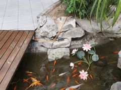 -森谷美食公园(杨行店)