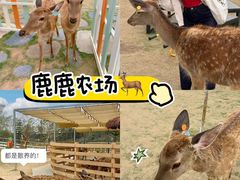 -盈香心动乐园