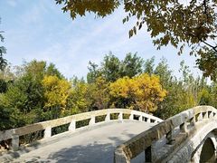 -塘沽森林公园