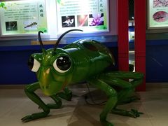 -上海昆虫博物馆