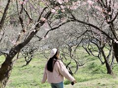 -无锡梅园公园