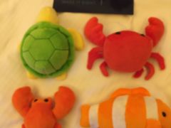 -舟山希尔顿酒店