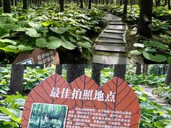 -洛阳白云山景区