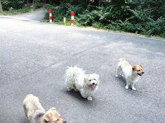 -昆嵛山石门里景区