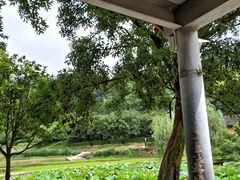 -韶山毛泽东同志故居