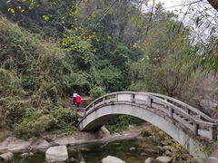 -南岳衡山风景名胜区