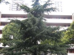 -上海市控江中学