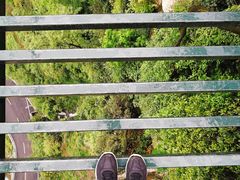 -梦幻奥陶纪景区