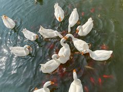 -西安汉城湖景区