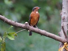 -苏州河梦清园环保主题公园