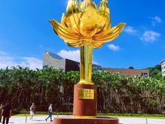 -金莲花广场